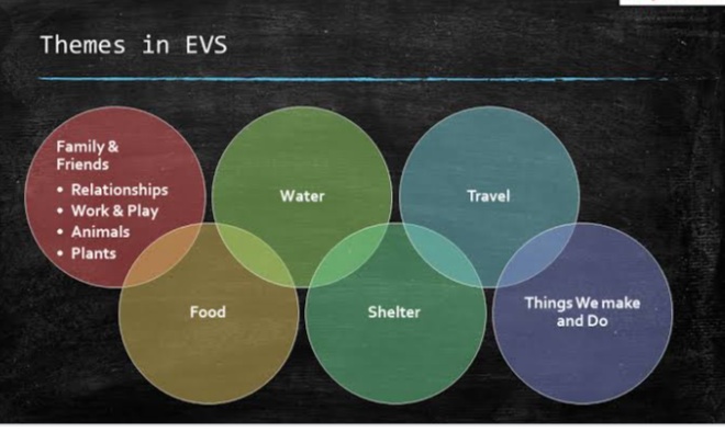 EVS Work - All Subjects - Notes - Teachmint