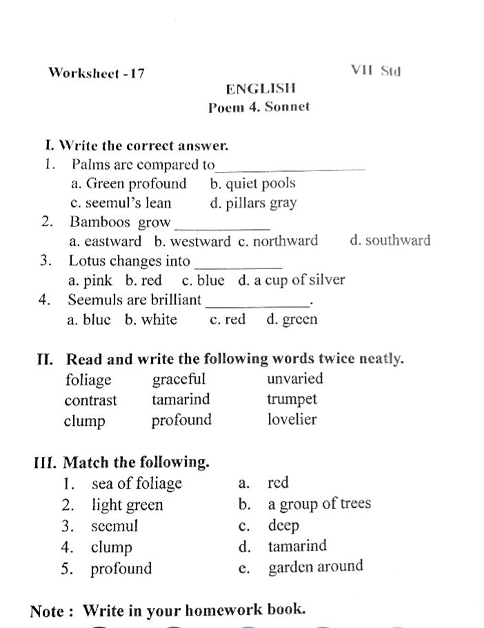 English Worksheet 17 - English Language - Assignment - Teachmint