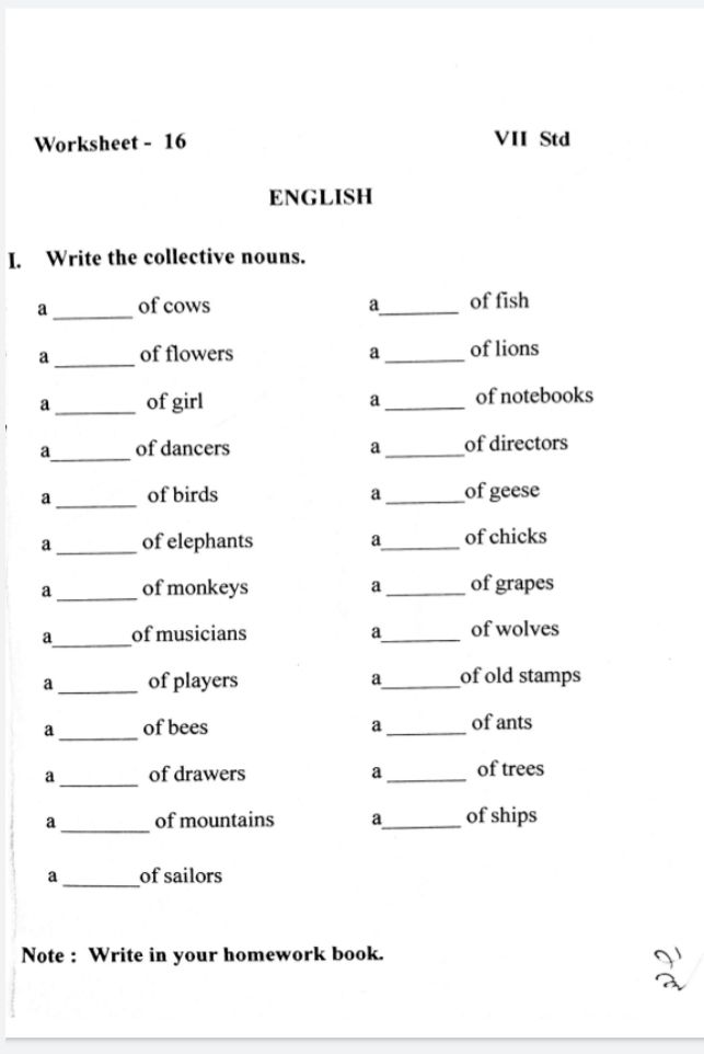 english assignment sheet