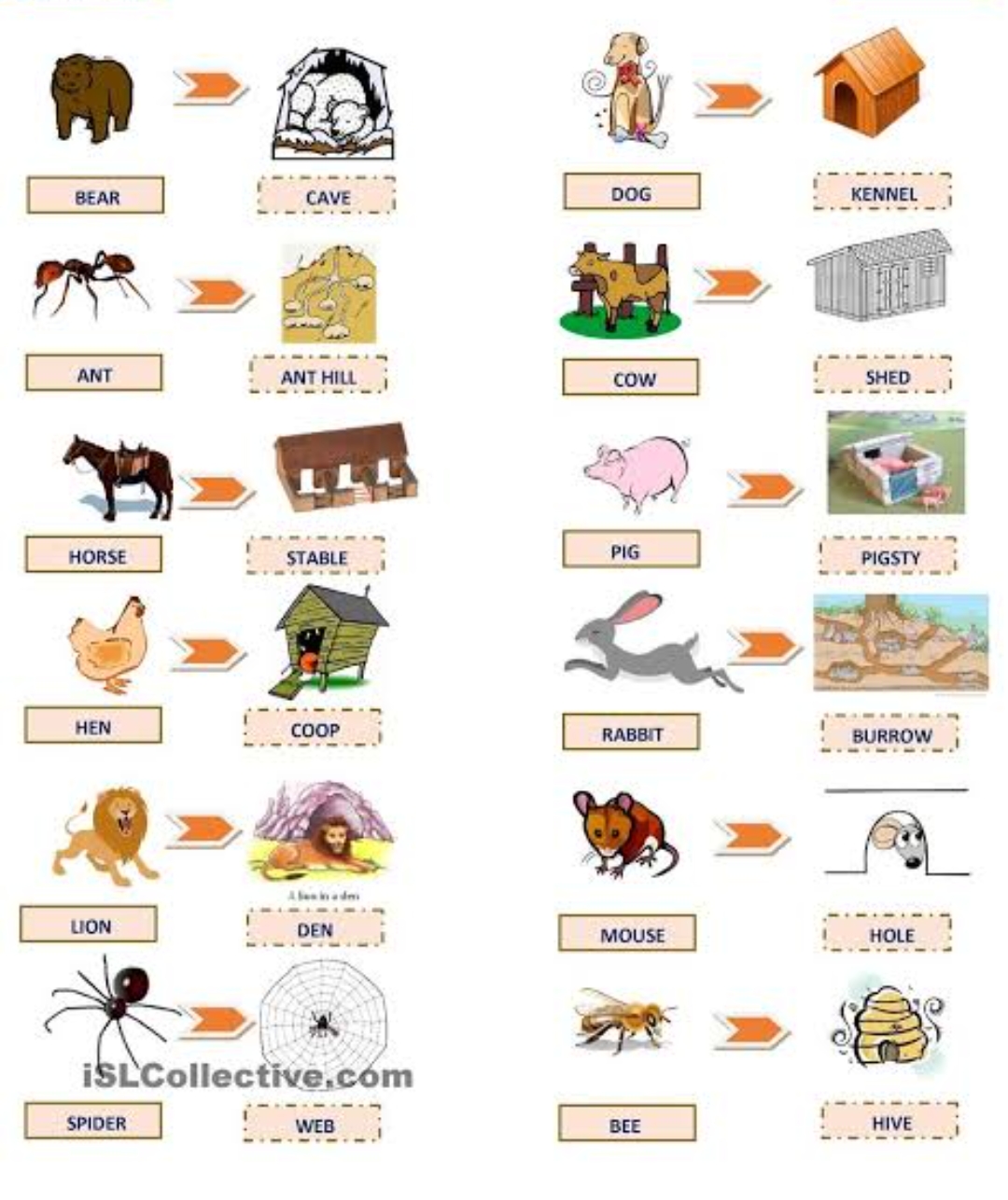 Animal And Their Homes - English - Notes - Teachmint