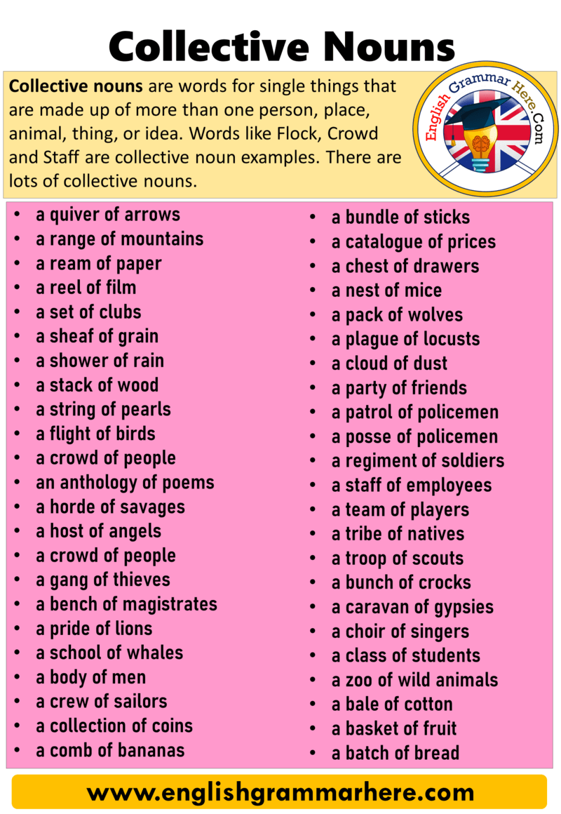 Collective nouns list png English Notes Teachmint