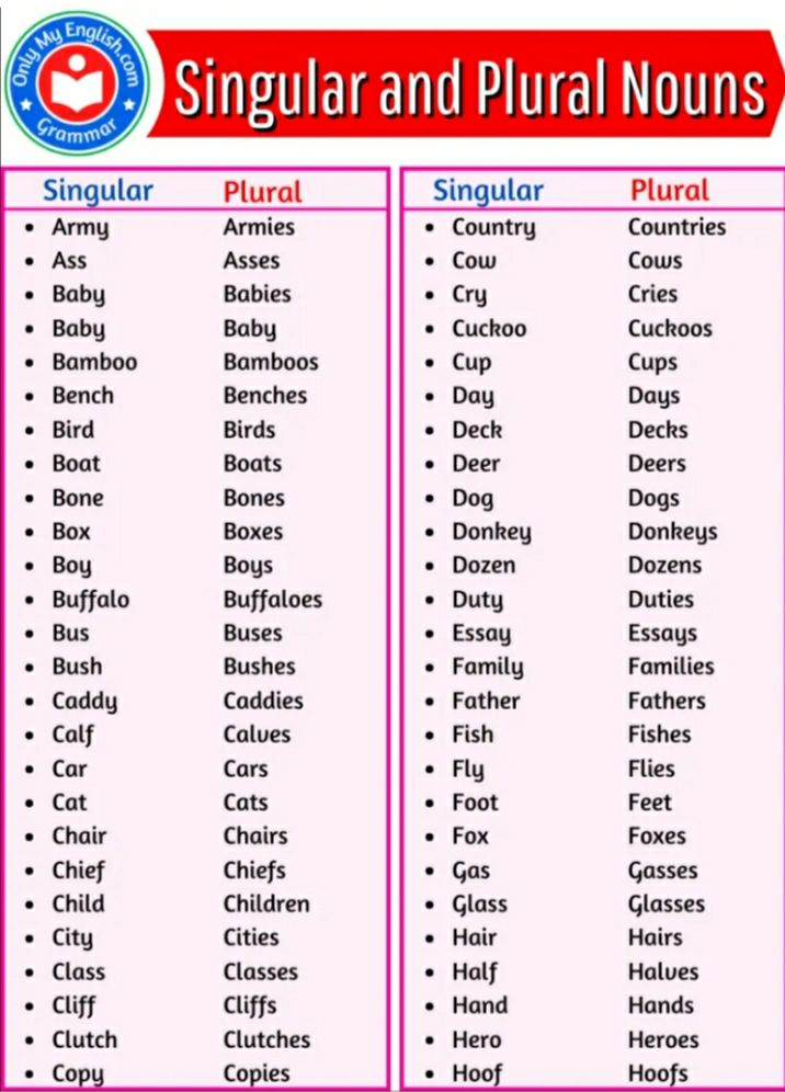 assignment singular and plural
