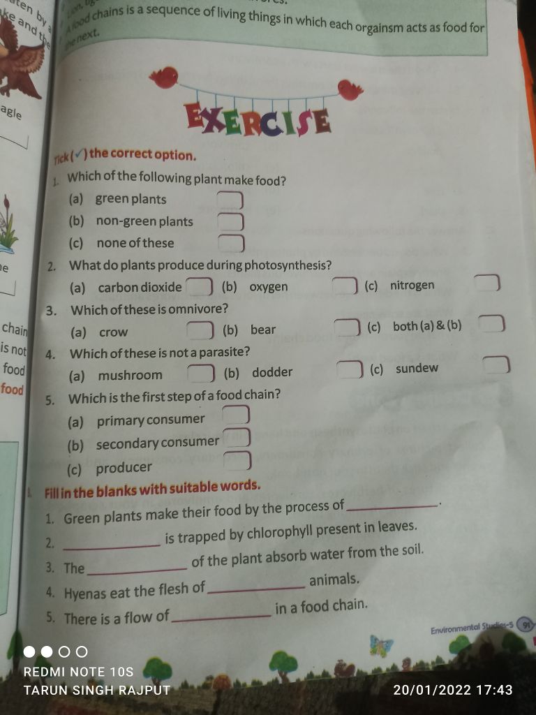 Lesson - 13 Plants And Animal Food - Environmental Studies (EVS ...