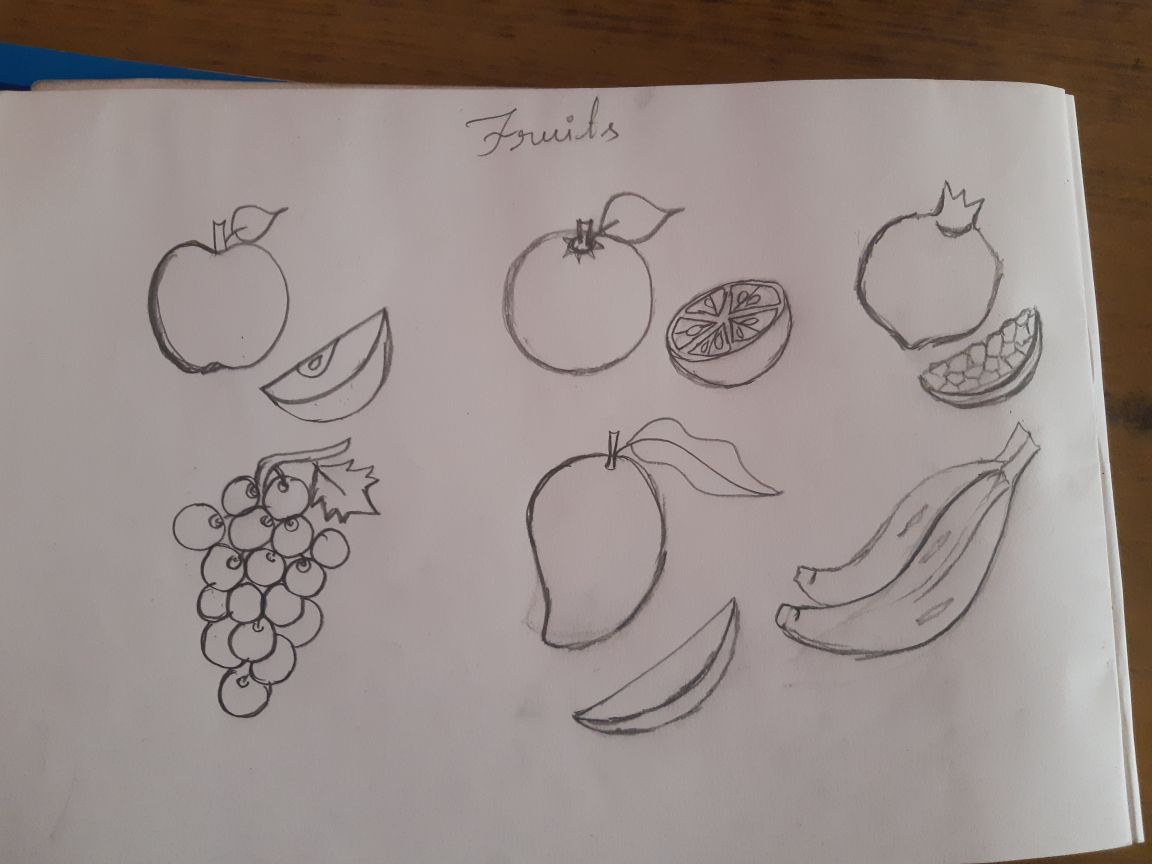 Fruit Fruit Line drawing with color set  Stock Illustration 83367866   PIXTA