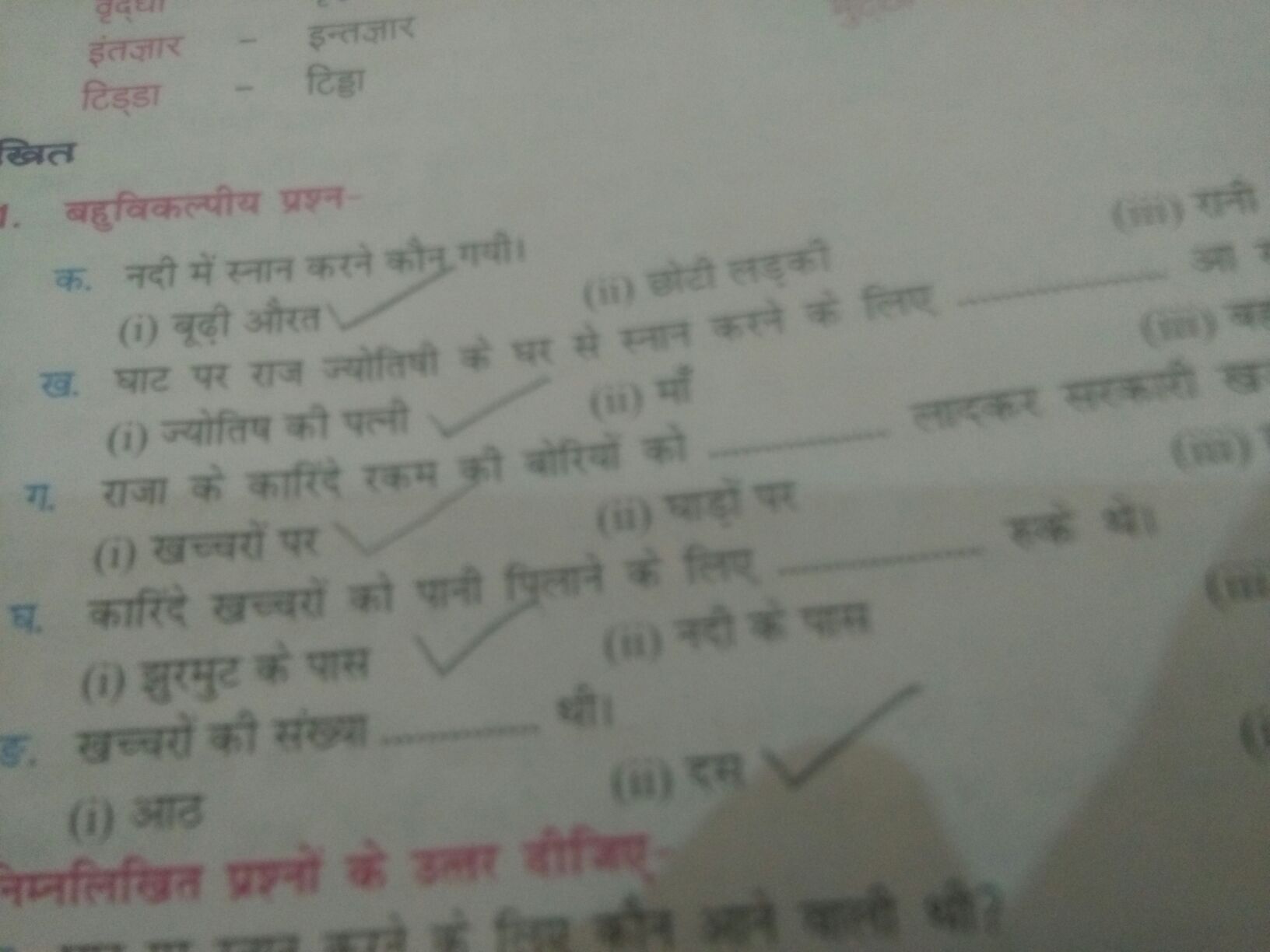 my hindi assignment in hindi