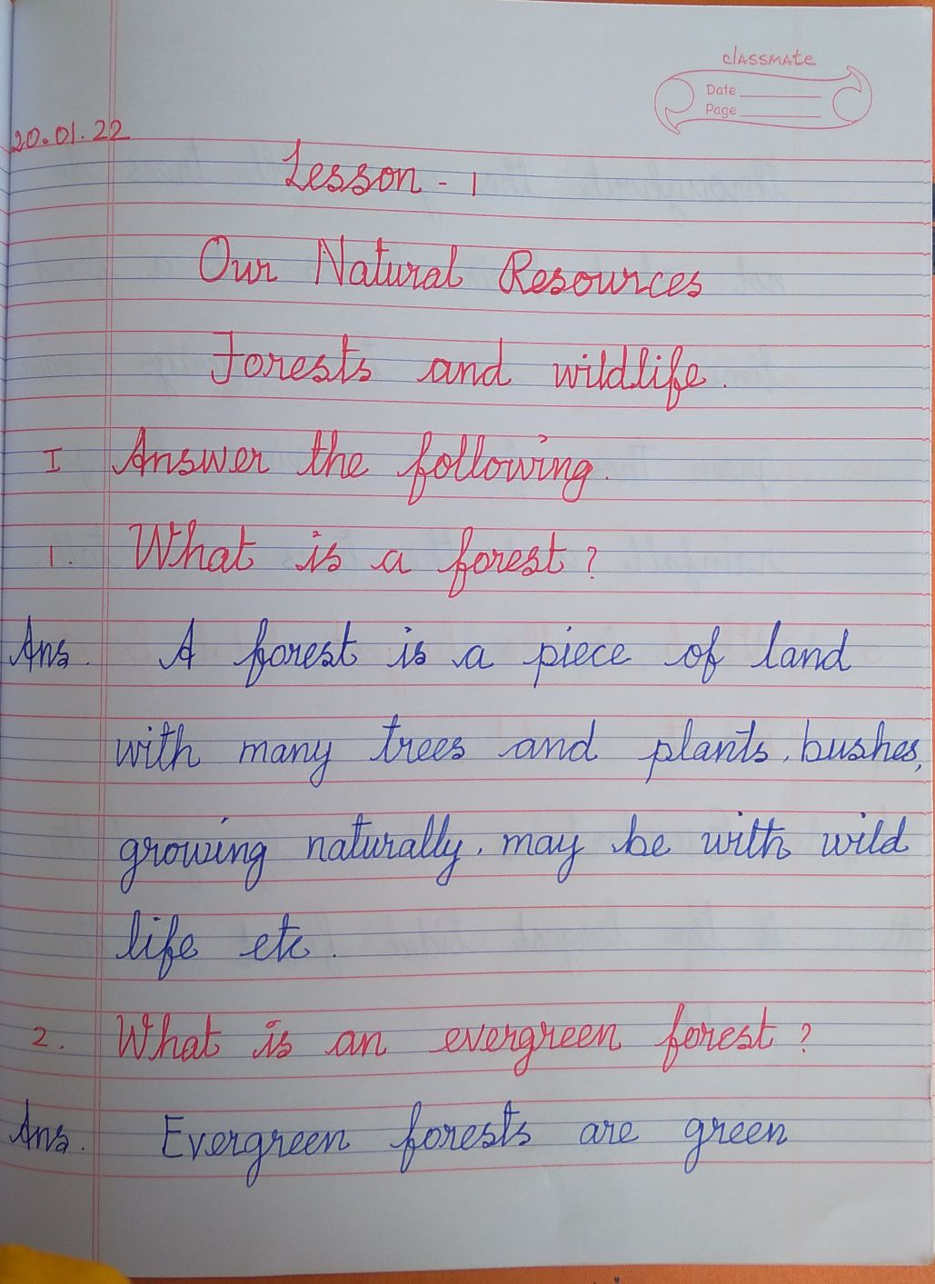 Lesson 1 Natural Resources Forests And Wildlife Social Science