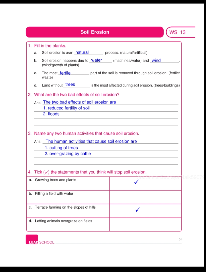 EVS Work - All Subjects - Notes - Teachmint