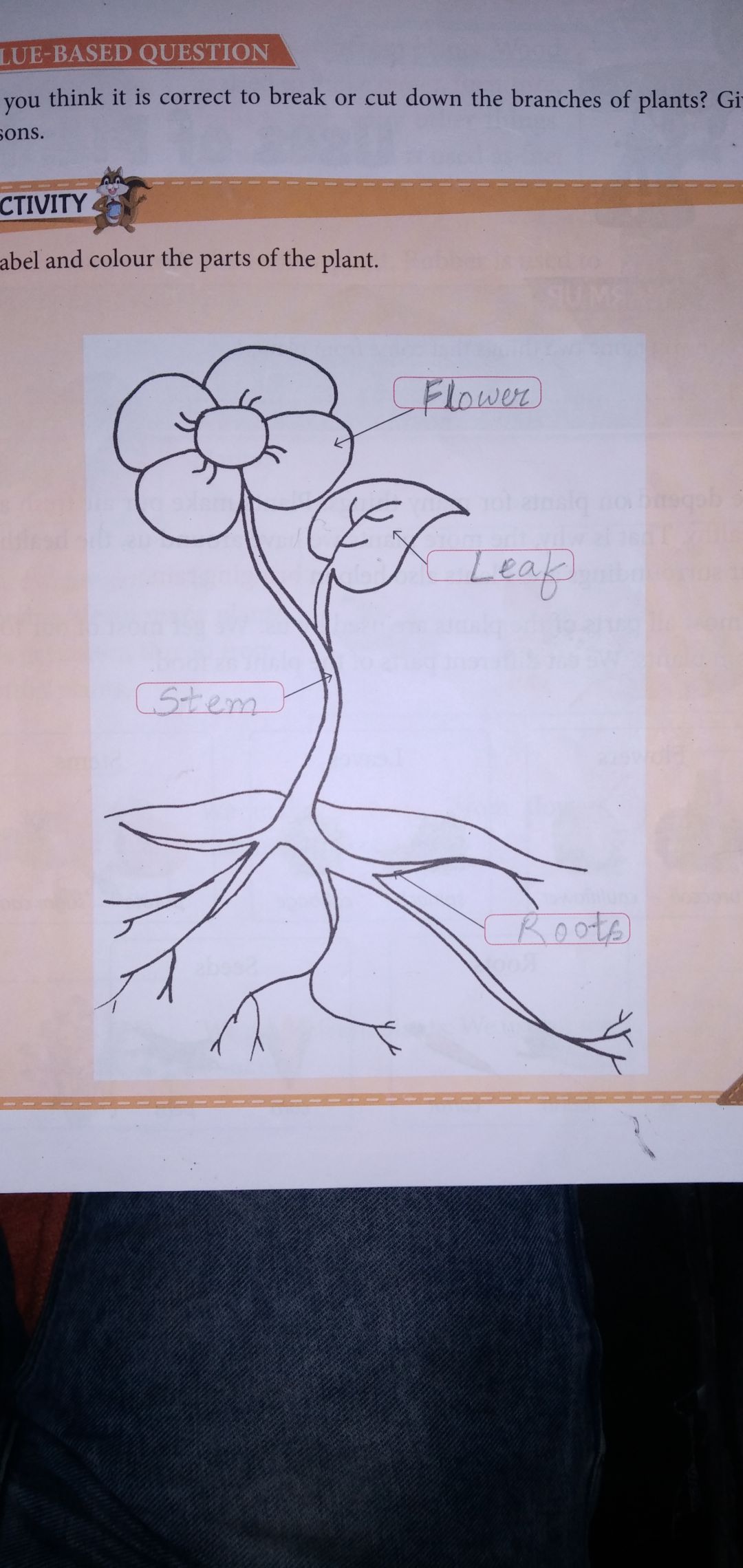 assignment with plant