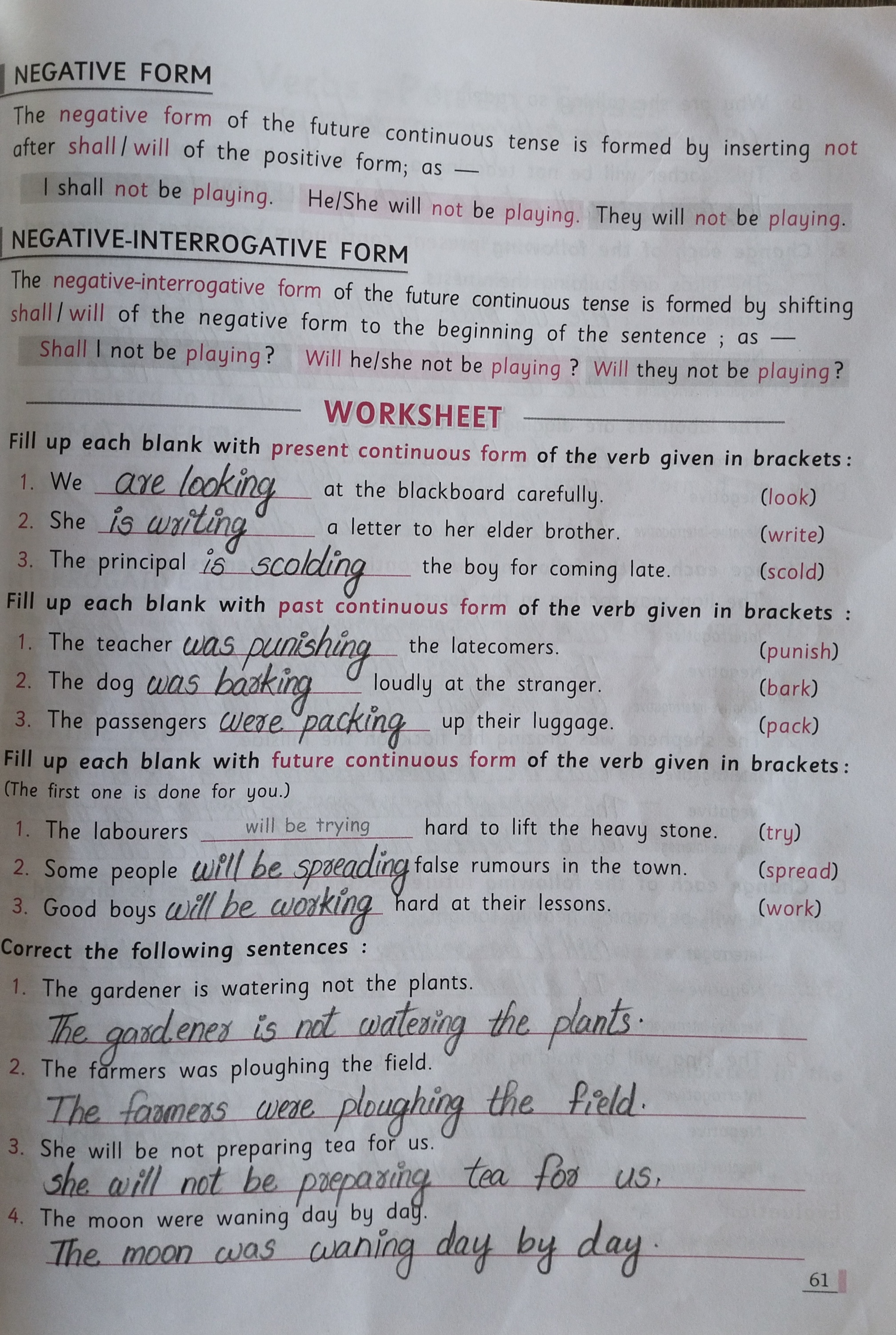 English Grammar( Negative Sentences) - English - Assignment - Teachmint