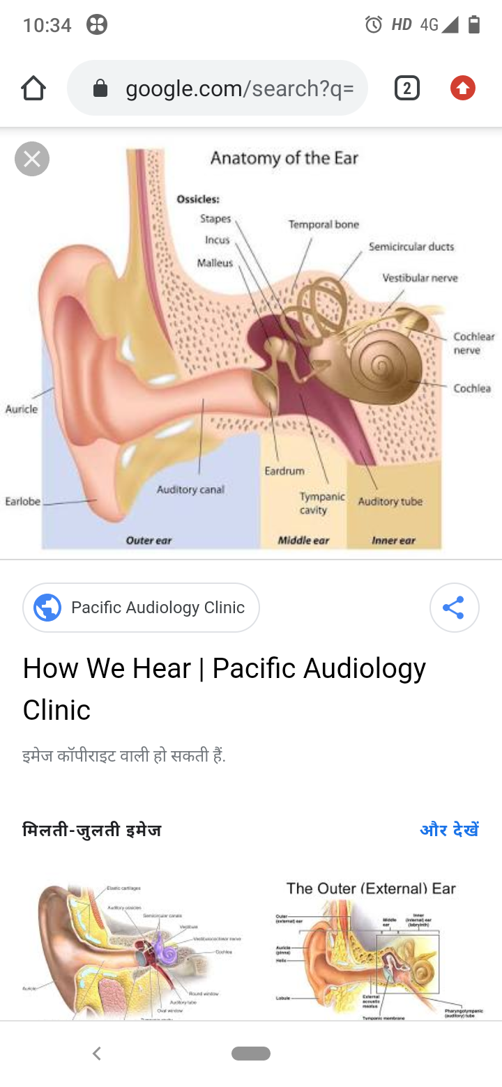 Ear Rachana Sharir Notes Teachmint