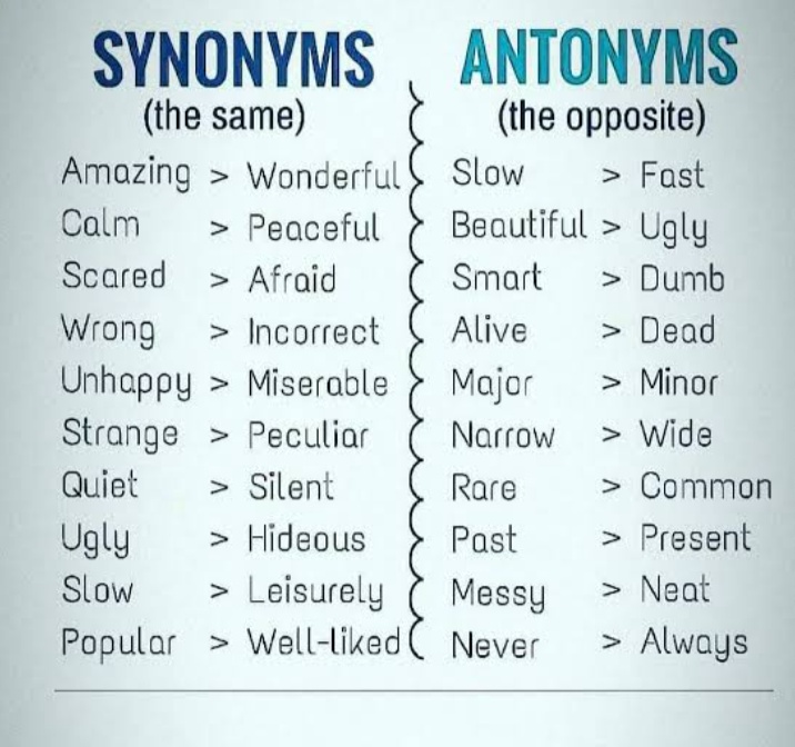 Synonyms and Antonyms