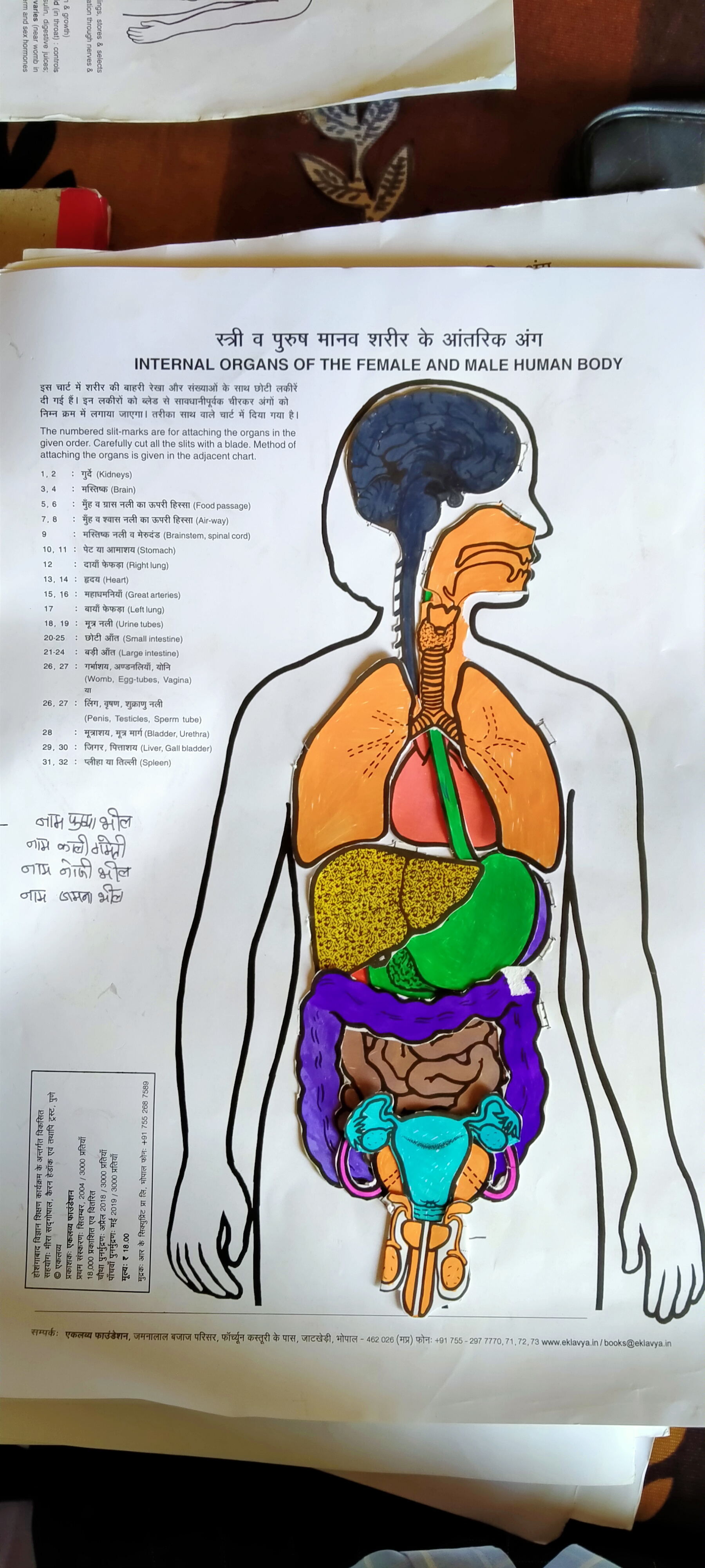 Digestive System Anatomy and Physiology - Nurseslabs