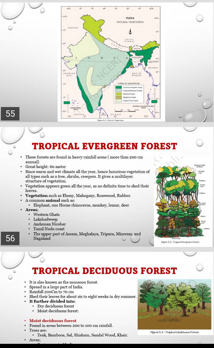 9th Natural Vegetation And Wildlife Page 3 Social Science Notes 
