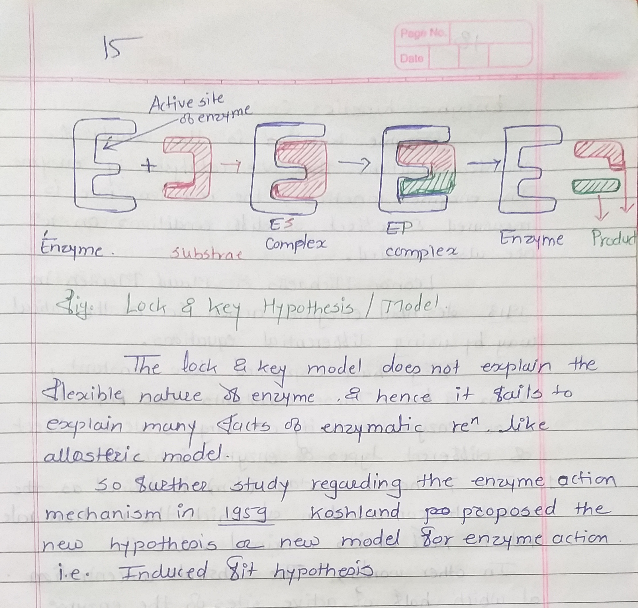 20211222_101939.jpg - Zoology - Notes - Teachmint