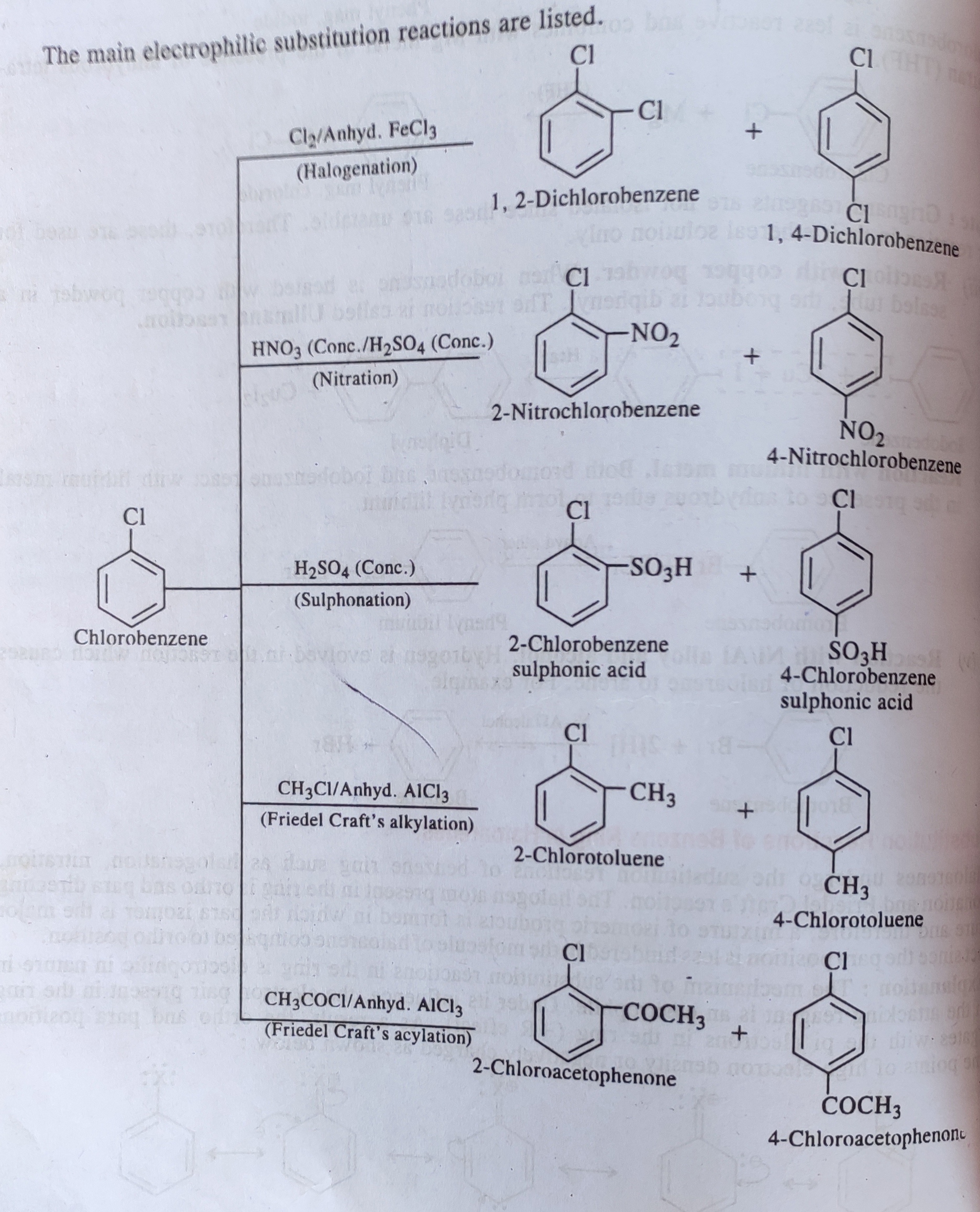 Electrophilic Substitution Reaction Chemistry Notes Teachmint 