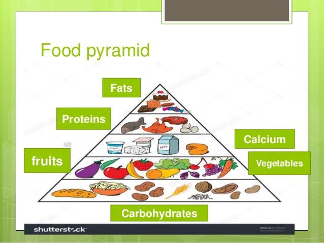 Food pyramid Drawing health angle food png  PNGEgg