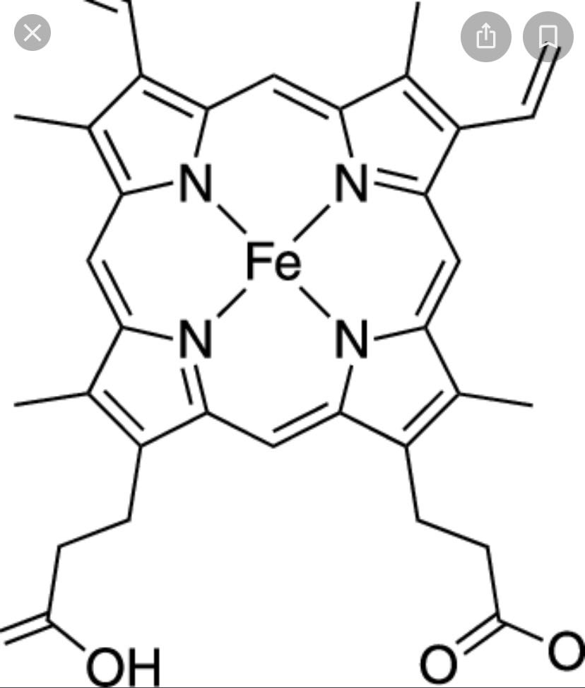 Porphyrin - Wikipedia