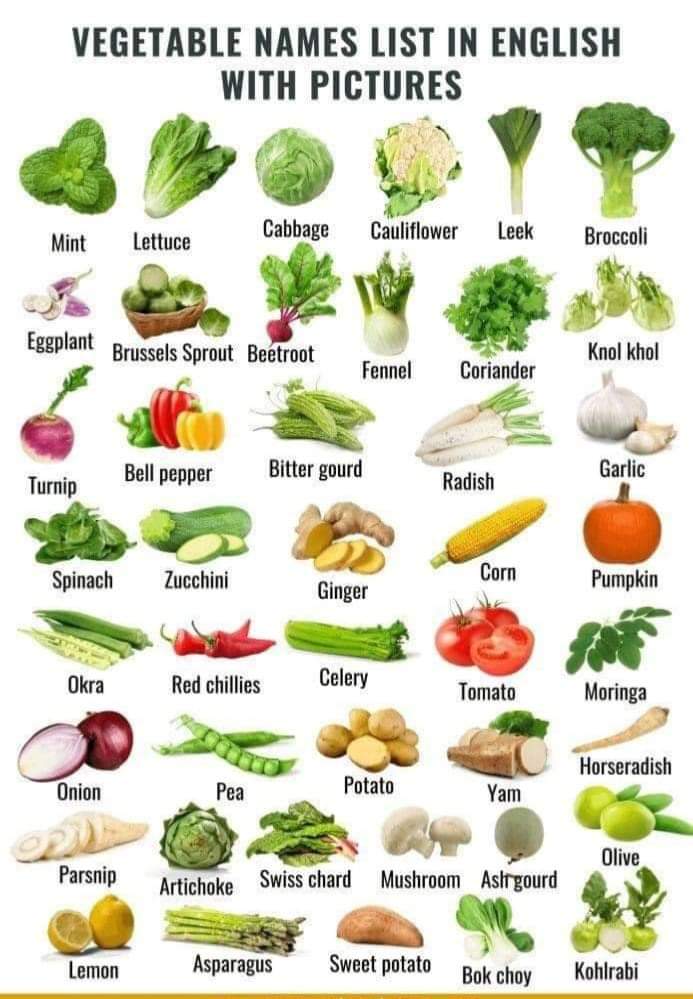 Vegetables - maths - Notes - Teachmint