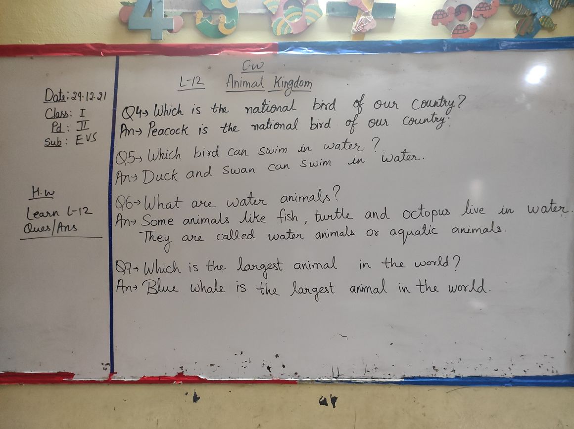 Lesson-12 Animal Kingdom - EVS - Notes - Teachmint