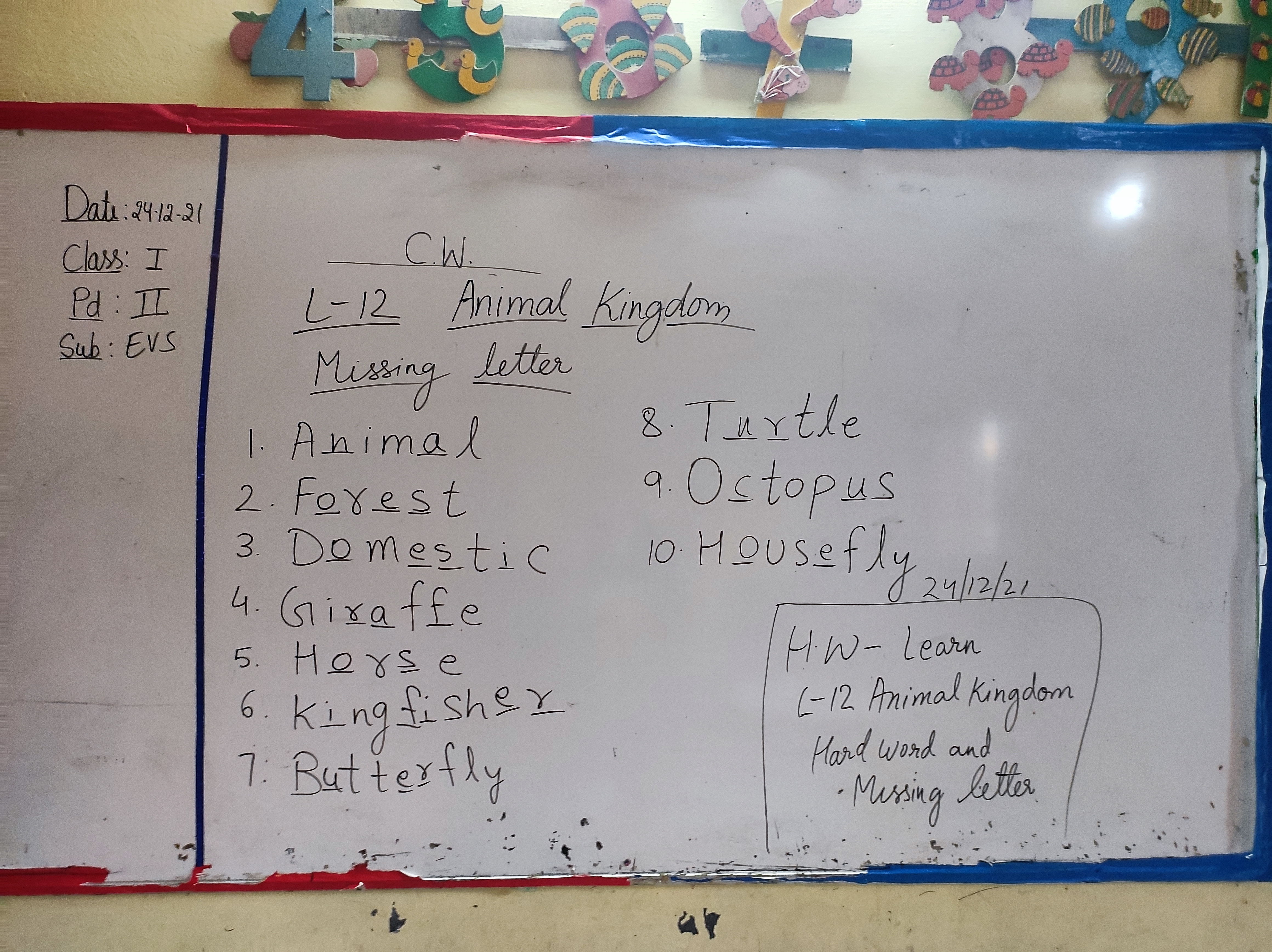 Lesson-12 Animal Kingdom - EVS - Notes - Teachmint