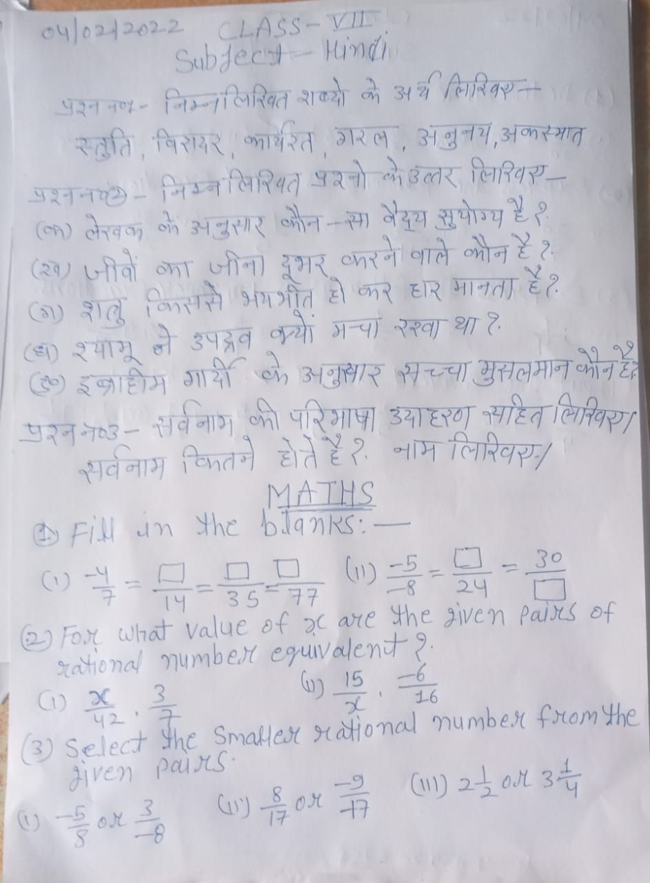 maths essay hindi