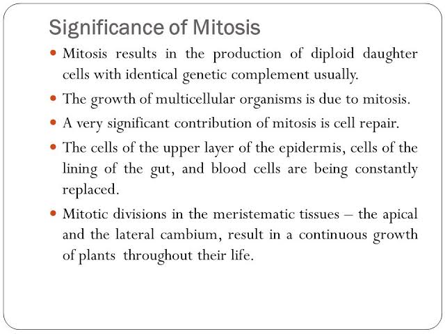 Significance Of Mitosis Biology Notes Teachmint