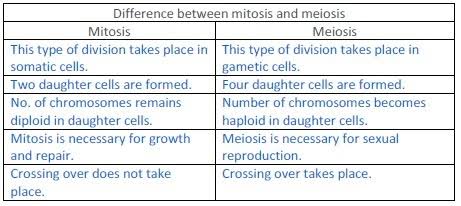 difference between mitosis and meiosis cell division