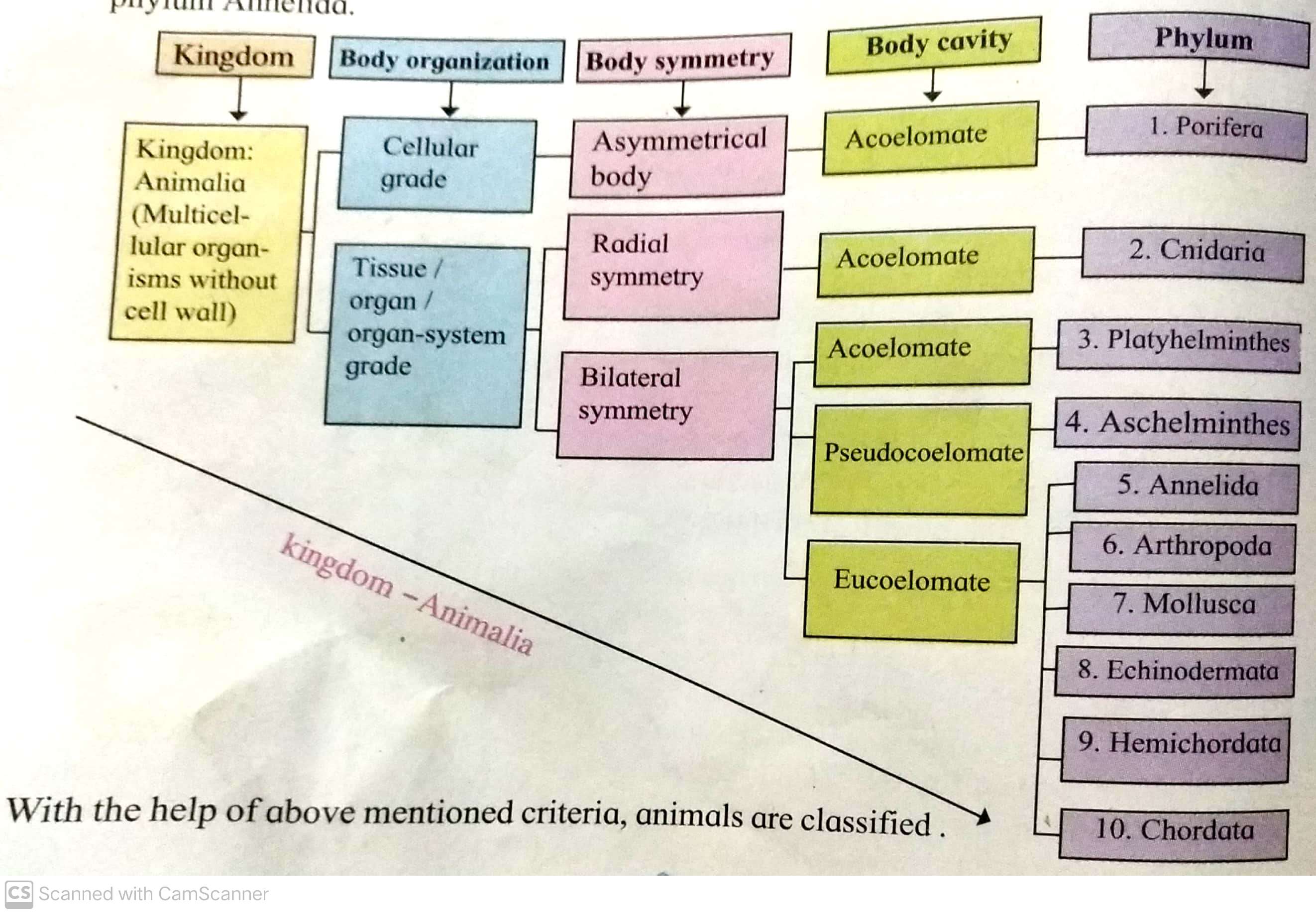 Animal Classification Based On Criteria  - BiologyII - Notes -  Teachmint
