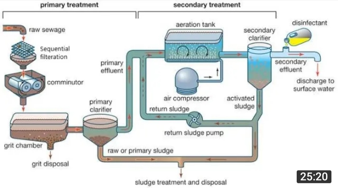 Sewage Treatment Plant( STP) Biology Notes Teachmint