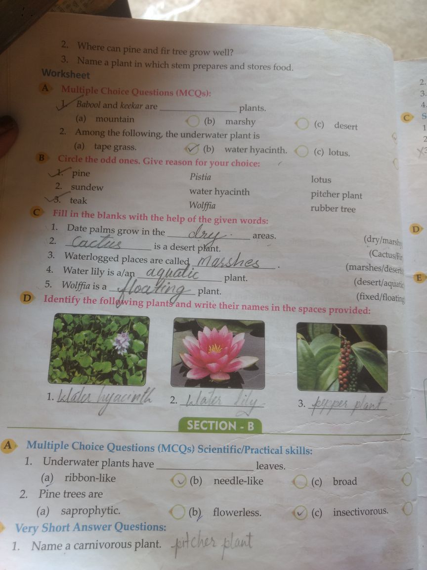 IMG-20220118-120534.jpeg - Science - Notes - Teachmint