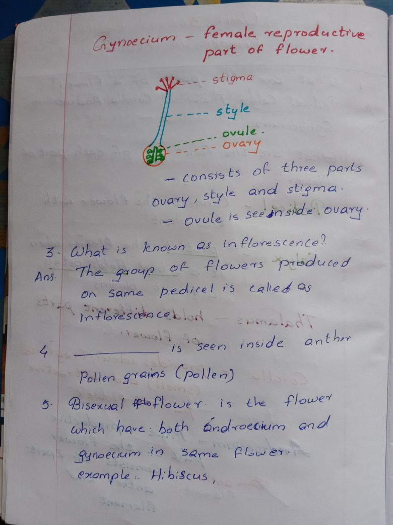 2 - Basic Science - Notes - Teachmint
