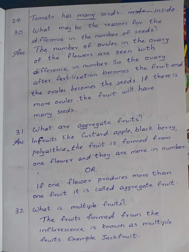 9 - Basic Science - Notes - Teachmint