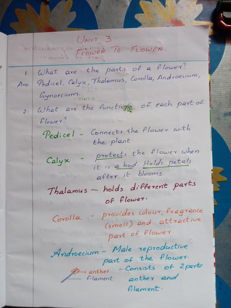 1 - Basic Science - Notes - Teachmint