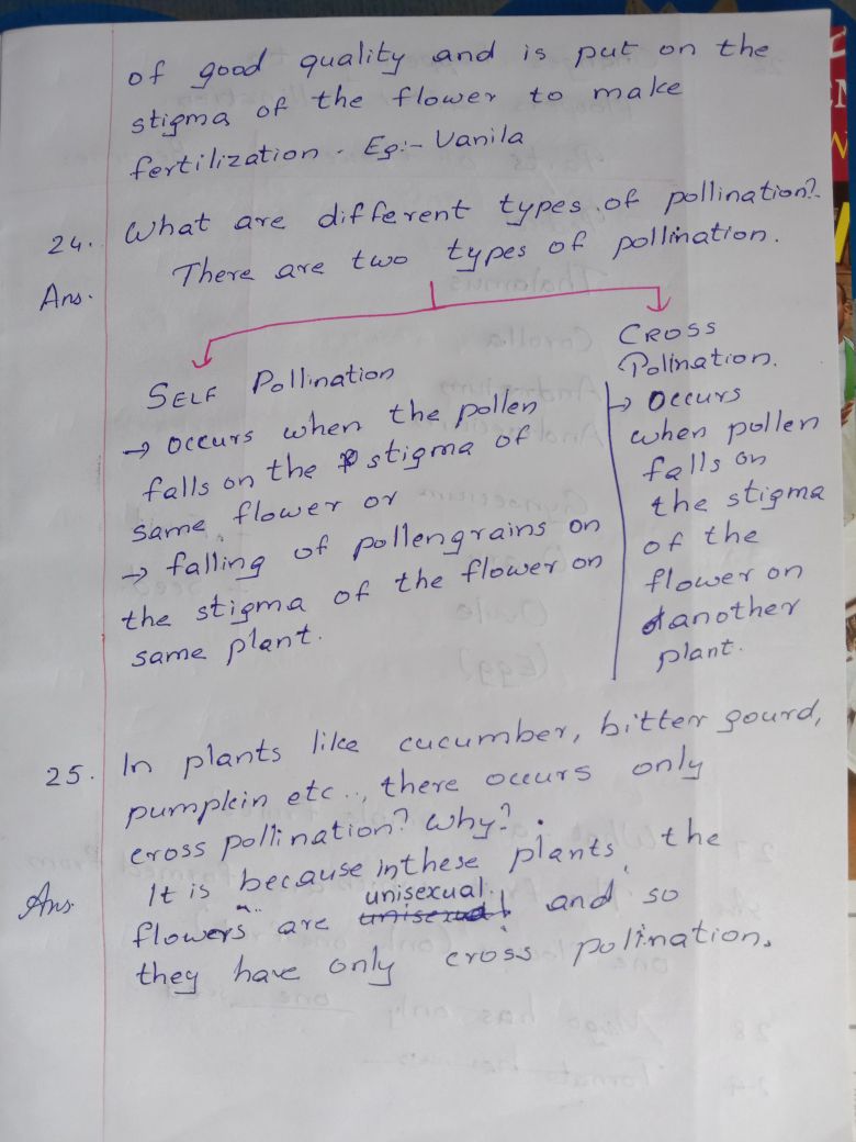 7 - Basic Science - Notes - Teachmint