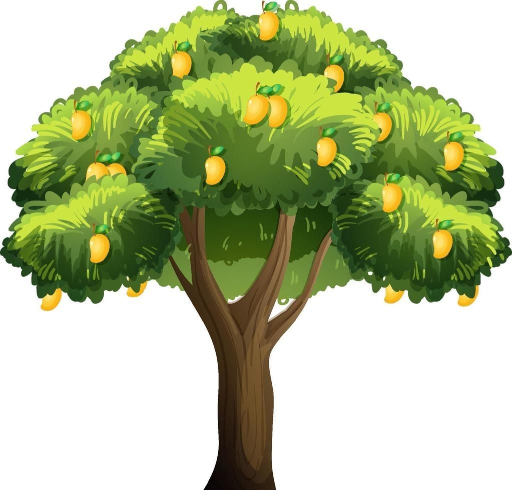 Mango Tree Fruits 4 Model - TurboSquid 1306283
