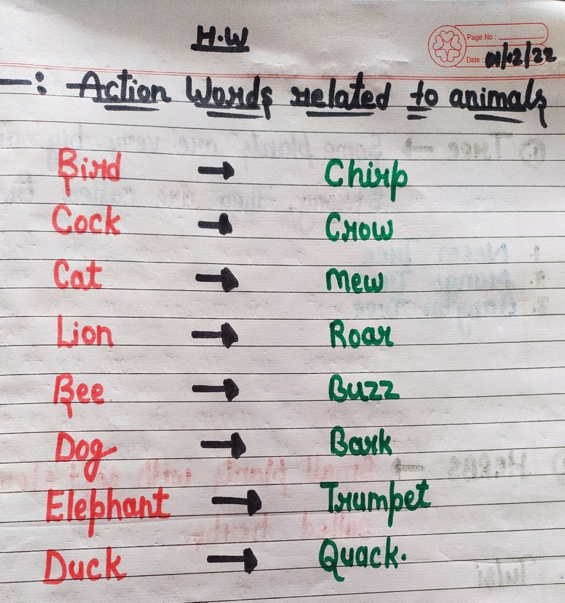 Bird Action Verbs