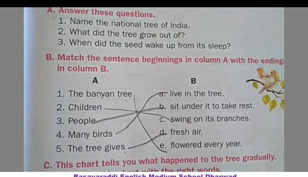 The Banyan Tree Chapter 1. - English - Assignment - Teachmint