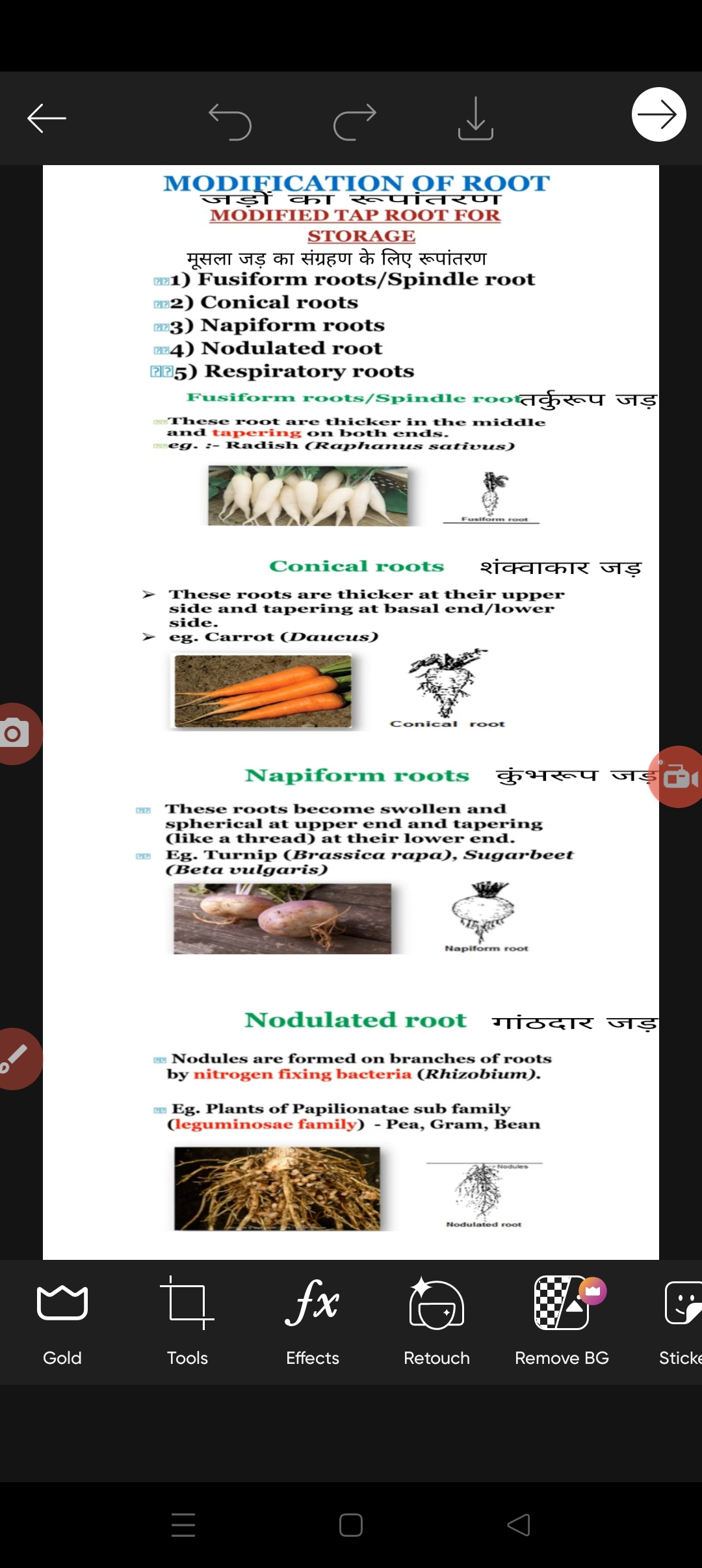 modification-of-root-2-biology-notes-teachmint