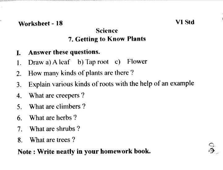 science assignment for class 6