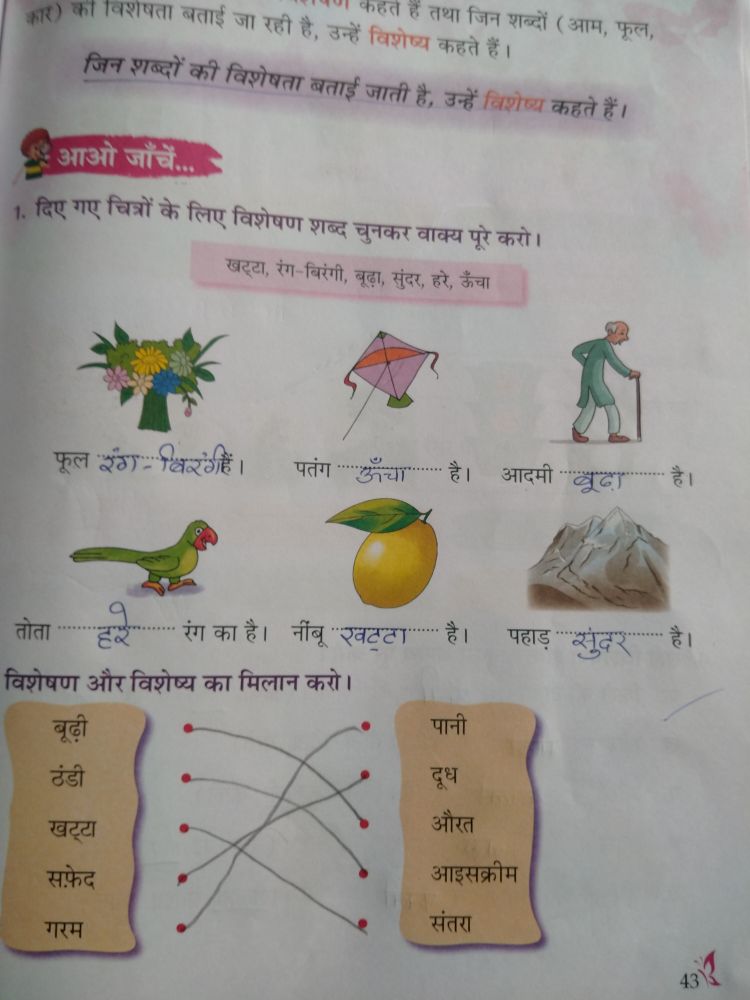 homework in hindi words