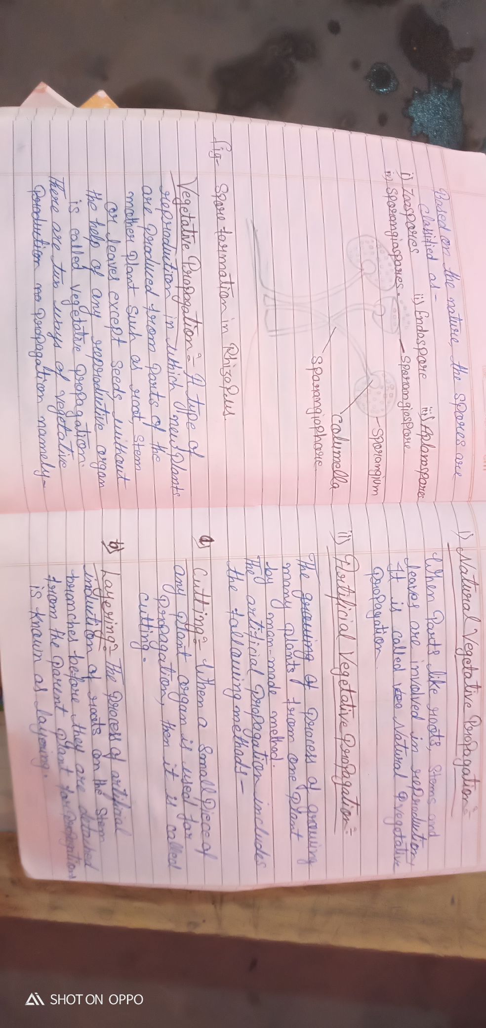 Vegetative Propagation Computer Notes Teachmint