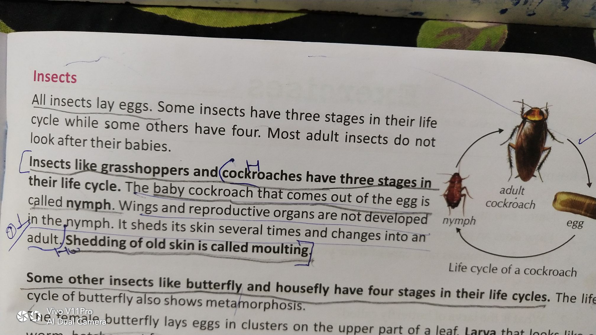 Lesson 9 - Science - Assignment - Teachmint