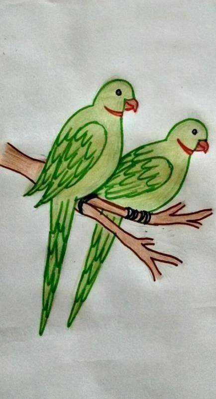 Learn How to Draw a Parrot (Zoo Animals) Step by Step : Drawing Tutorials