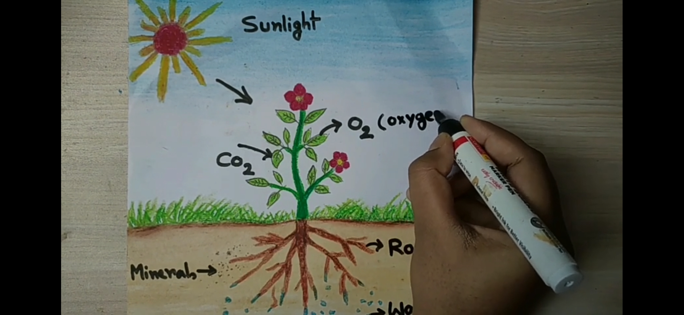 National science day drawing easy / National science day poster drawing  step by step - YouTube