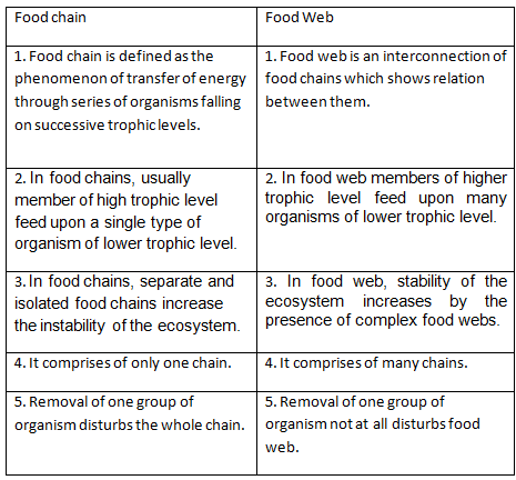 Food CHAIN AND FOOD WEB - Science - Notes - Teachmint