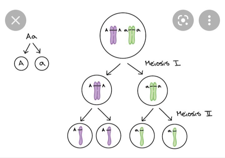 Fig 1 - Biology - Notes - Teachmint