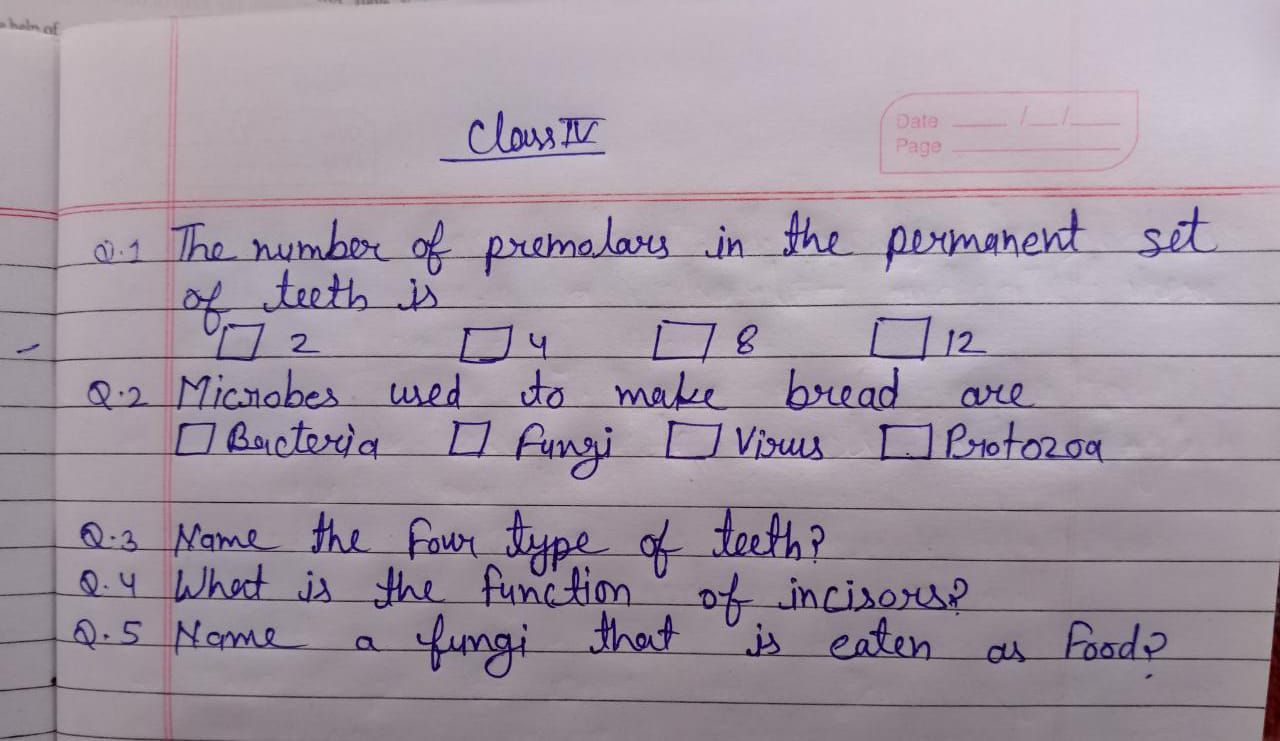 Teeth And Microbes Science Subjective Test Teachmint Teeth And Microbes Science Subjective Test Teachmint