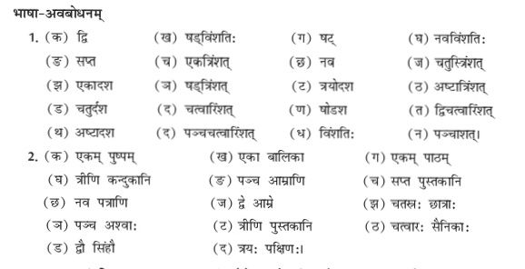 Lesson - 16 - Sanskrit - Notes - Teachmint