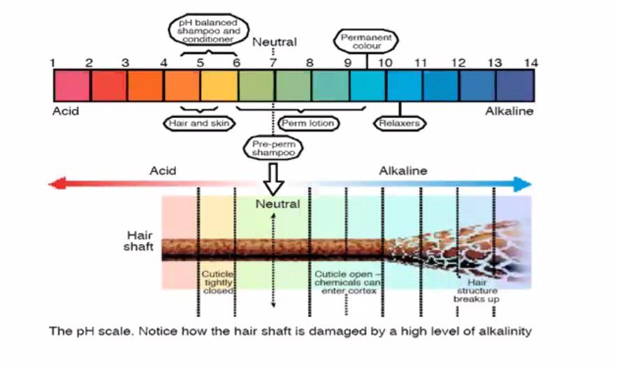 PH Scale - Hair & Chemical Cource - Notes - Teachmint