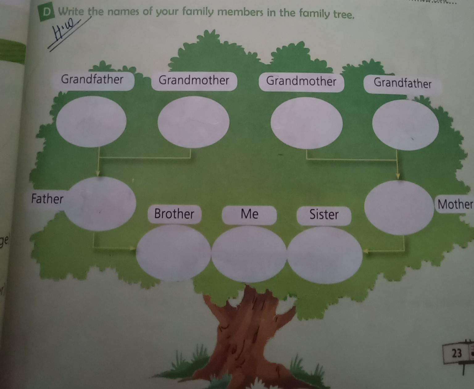 assignment family tree